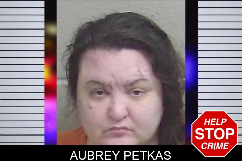 Aubrey Petkas Mugshots