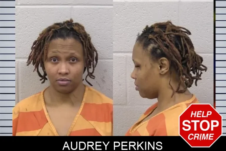 Audrey Perkins