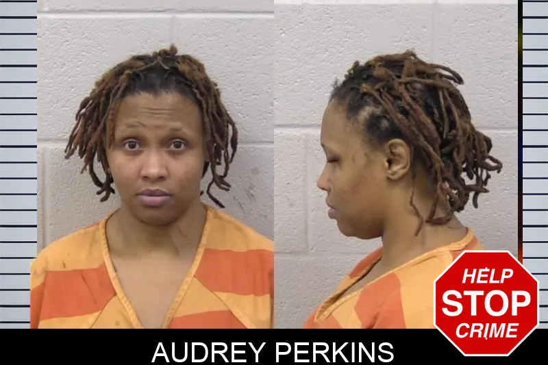 Audrey Perkins