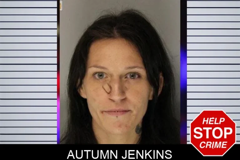 Autumn Jenkins mugshot – Hall County , Georgia Autumn Jenkins