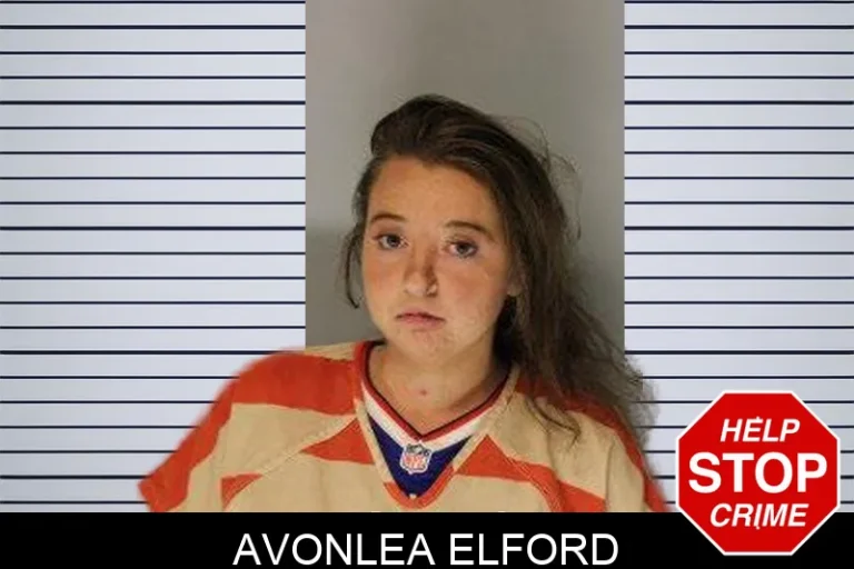 Avonlea Elford mugshot – Hall County , Georgia Avonlea Elford