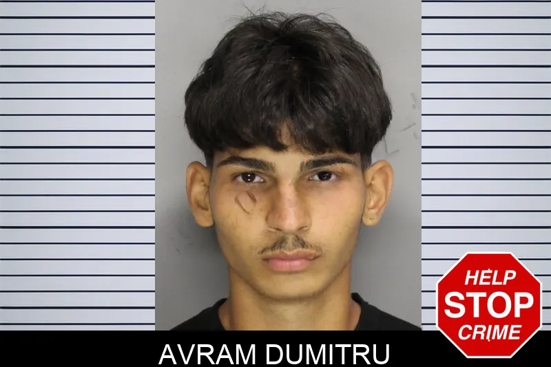 Avram Dumitru mugshot
