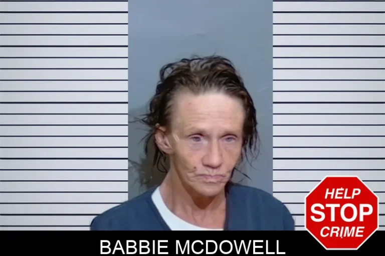 Babbie McDowell mugshot – Glynn County , Georgia Babbie McDowell