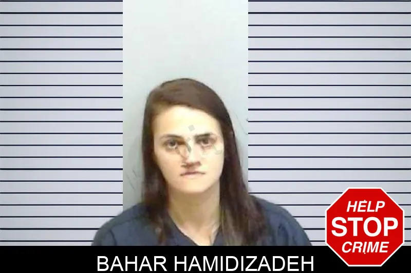 Bahar Hamidizadeh mugshot