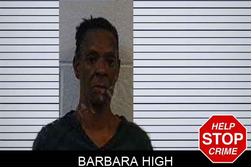 Barbara High mugshot