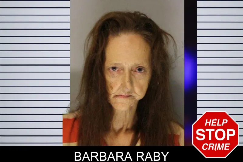 Barbara Raby mugshot – Hall County , Georgia Barbara Raby mugshot