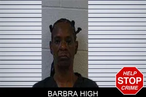 Barbra High mugshot