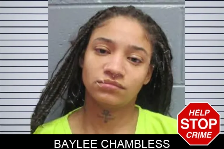 Baylee Chambless