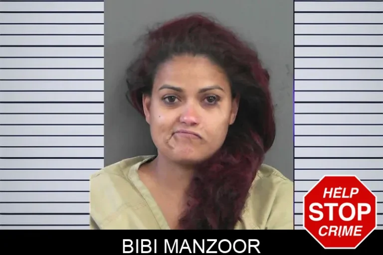 Bibi Manzoor