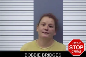 Bobbie Bridges mugshot
