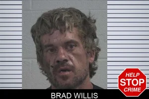 Brad Willis mugshot