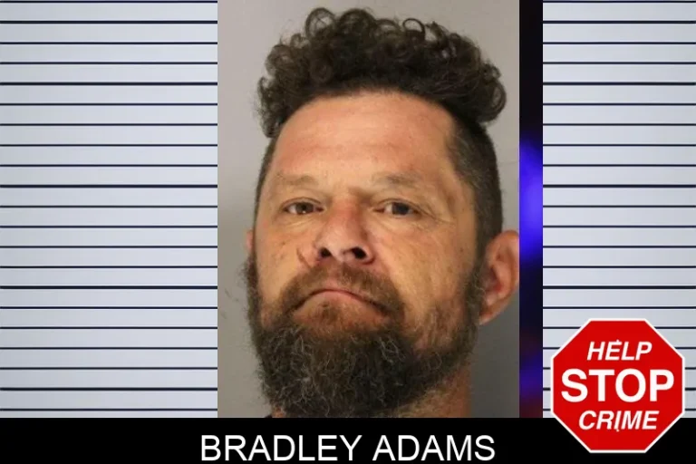 Bradley Adams mugshot – Hall County , Georgia Bradley Adams