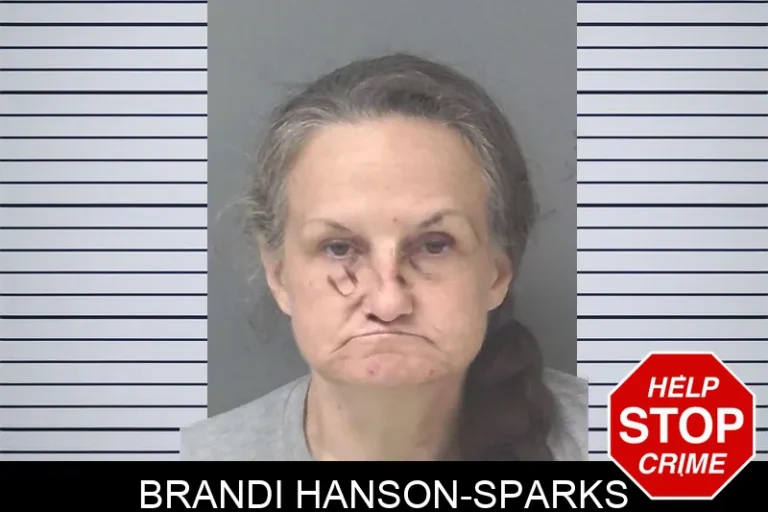 Brandi Hanson-Sparks