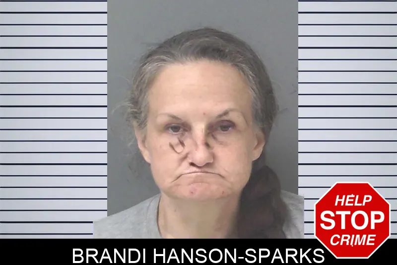 Brandi Hanson-Sparks Mugshots