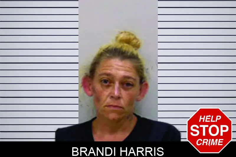 Brandi Harris Mugshots