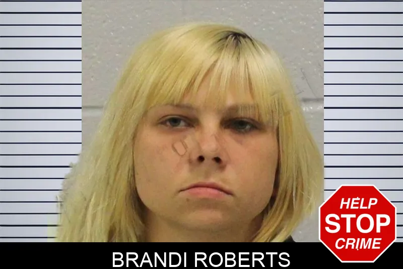 Brandi Roberts Mugshots