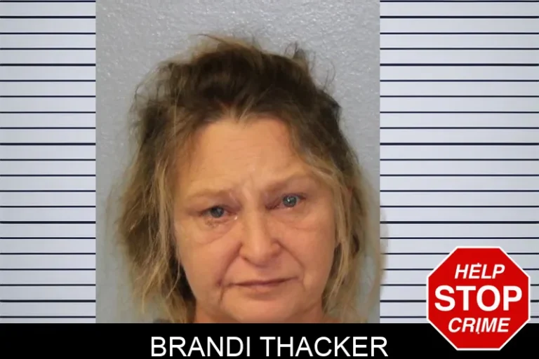 Brandi Thacker mugshot – Mcintosh County , Georgia Brandi Thacker
