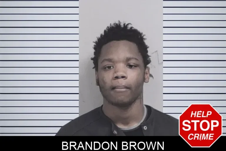 Brandon Brown