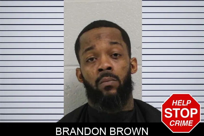 Brandon Brown mugshot