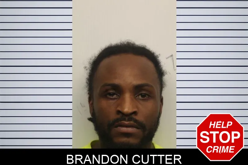 Brandon Cutter mugshot – Chatham County , Georgia Brandon Cutter mugshot