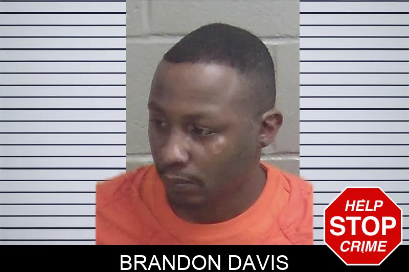 Brandon Davis Mugshots