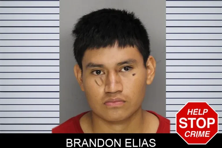 Brandon Elias