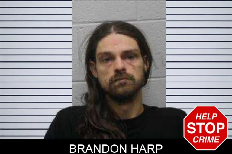 Brandon Harp