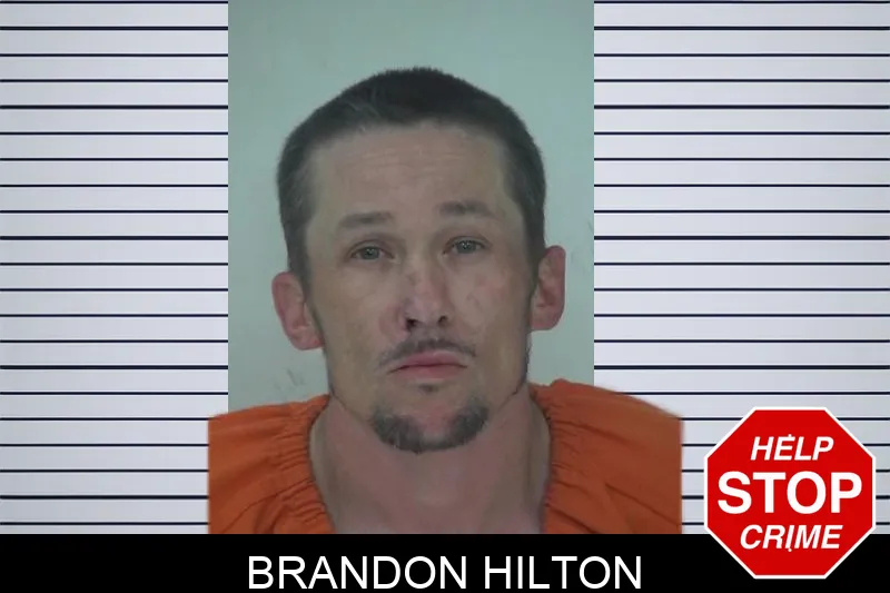Brandon Hilton Mugshots