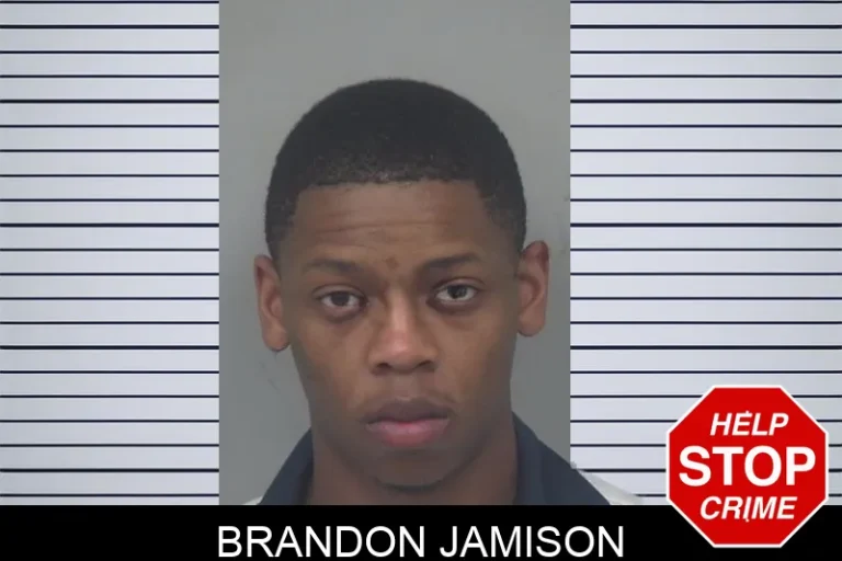 Brandon Jamison