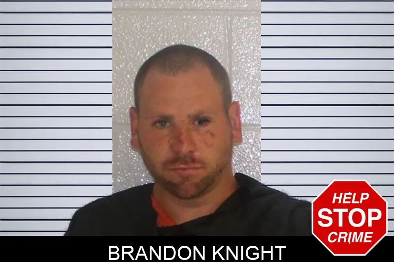 Brandon Knight mugshot