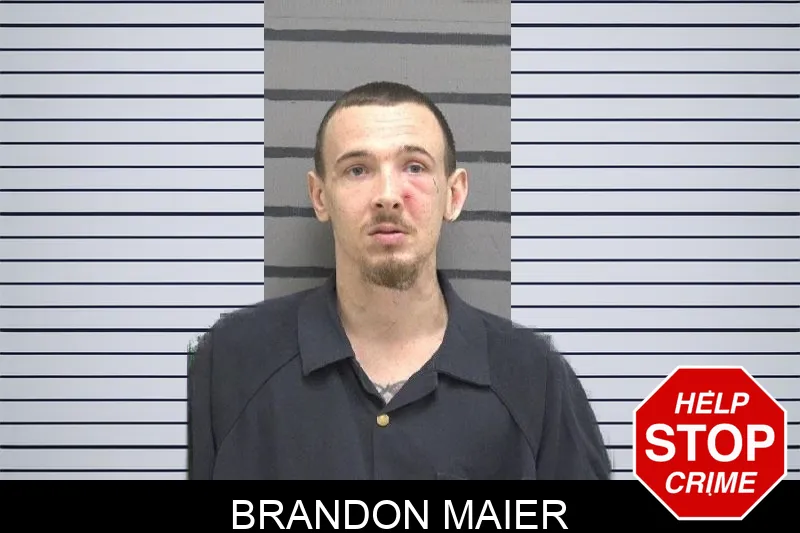 Brandon Maier mugshot