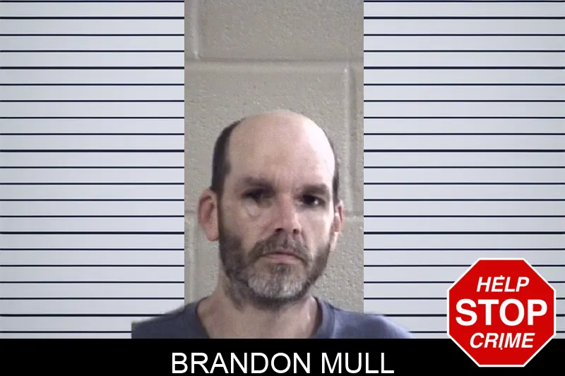 Brandon Mull mugshot