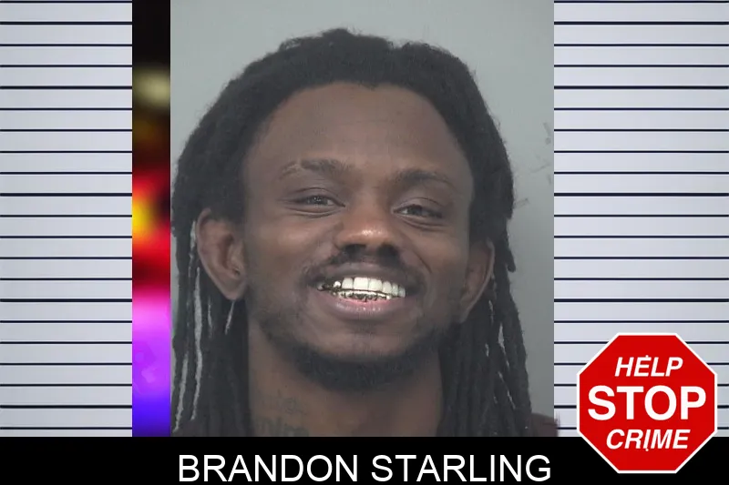 Brandon Starling mugshot