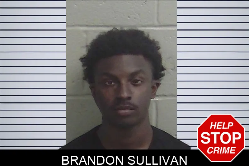 Brandon Sullivan Mugshots