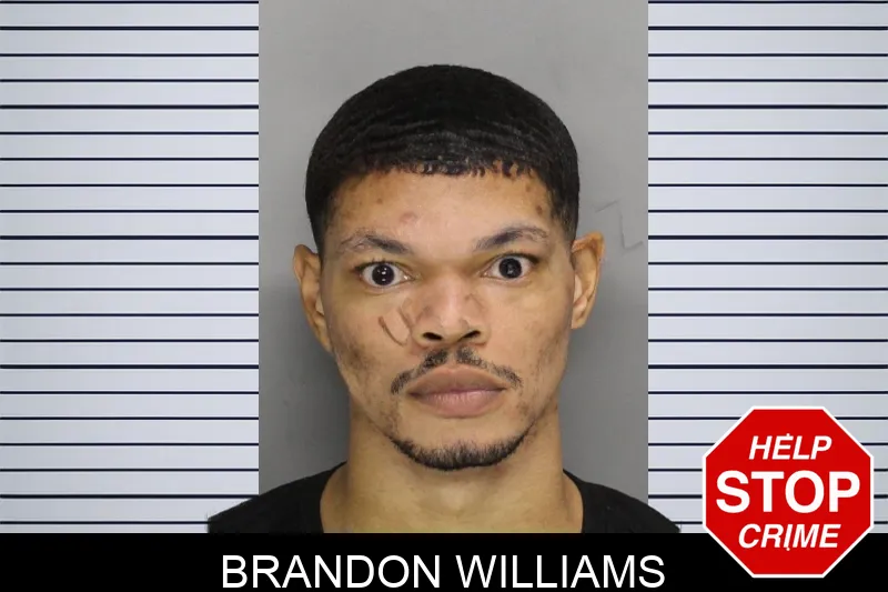Brandon Williams mugshot