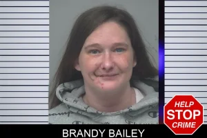 Brandy Bailey mugshot