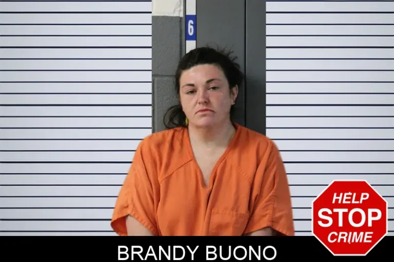 Brandy Buono