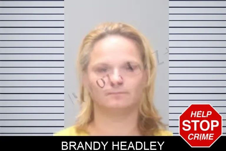 Brandy Headley