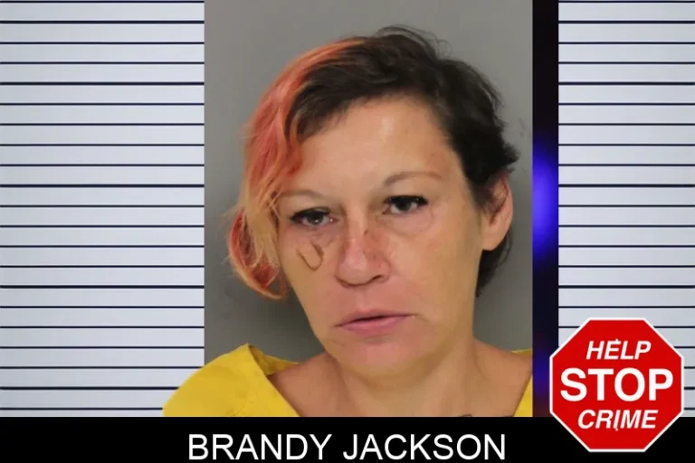 Brandy Jackson