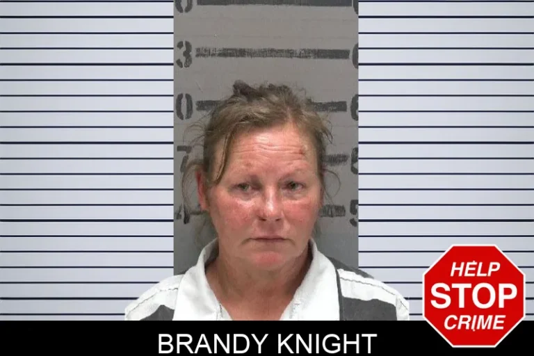 Brandy Knight