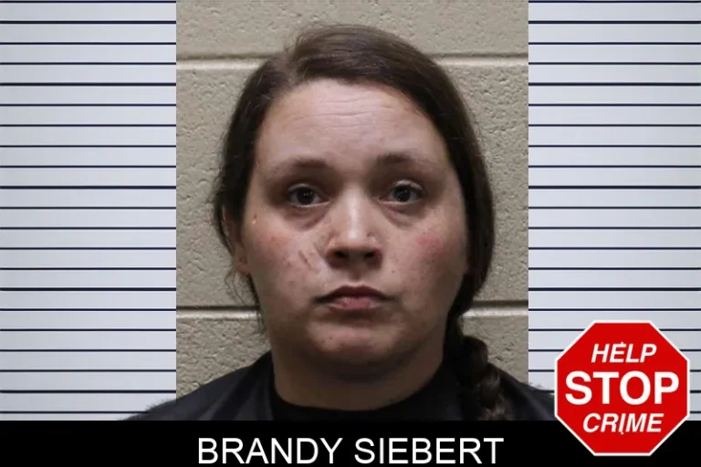 Brandy Siebert