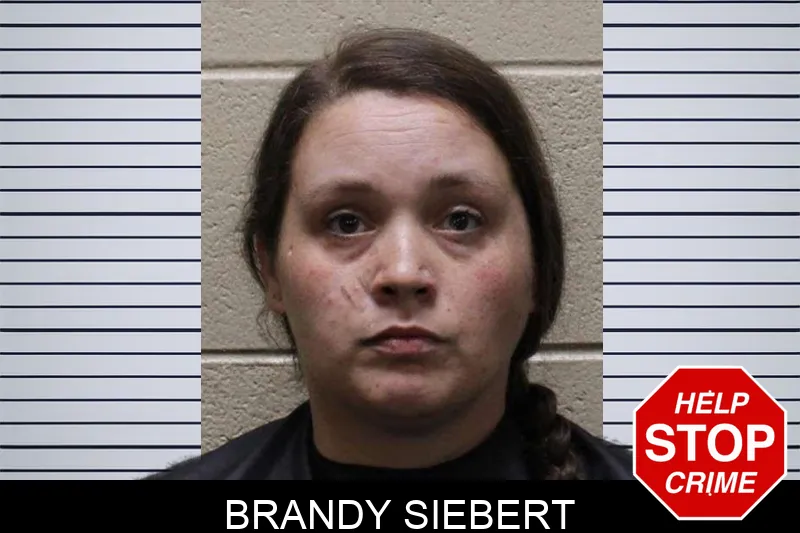 Brandy Siebert Mugshots