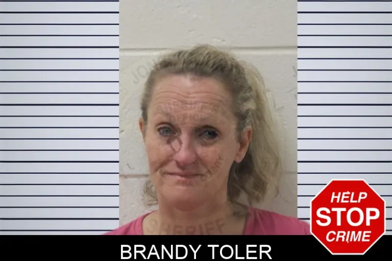 Brandy Toler mugshot – Jones County , Georgia Brandy Toler