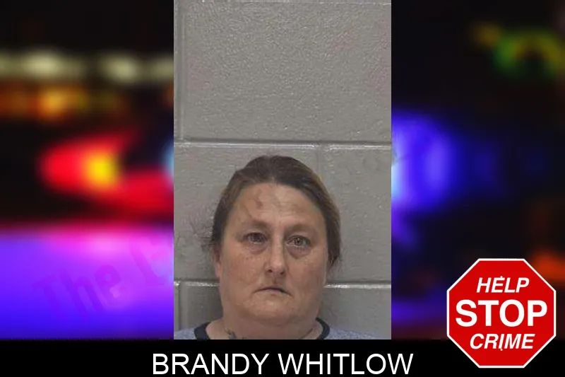 Brandy Whitlow Mugshots
