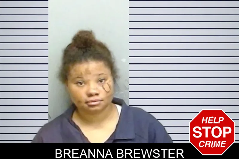 Breanna Brewster Mugshots