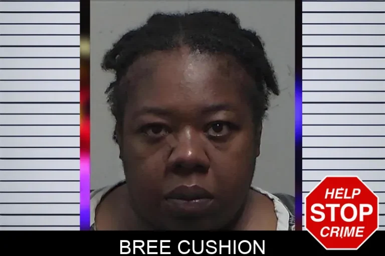 Bree Cushion mugshot – Tift County , Georgia Bree Cushion
