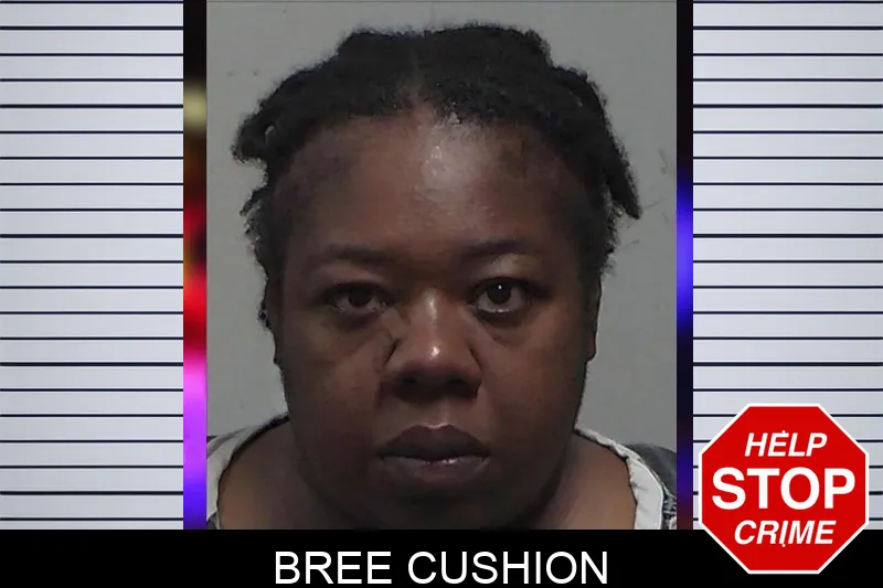 Bree Cushion mugshot