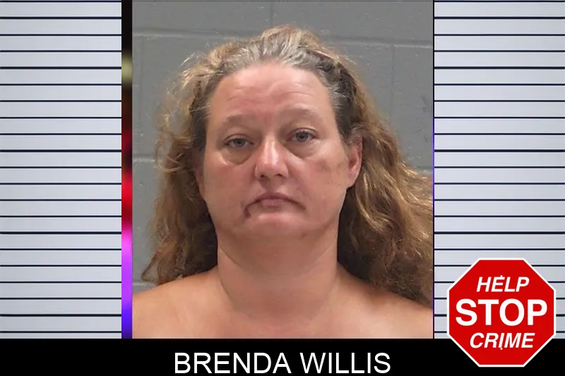 Brenda Willis Mugshots
