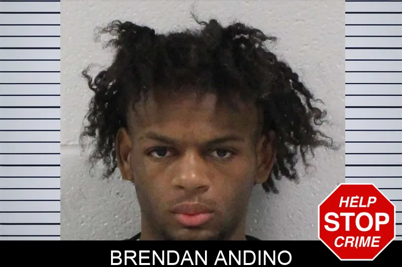 Brendan Andino mugshot