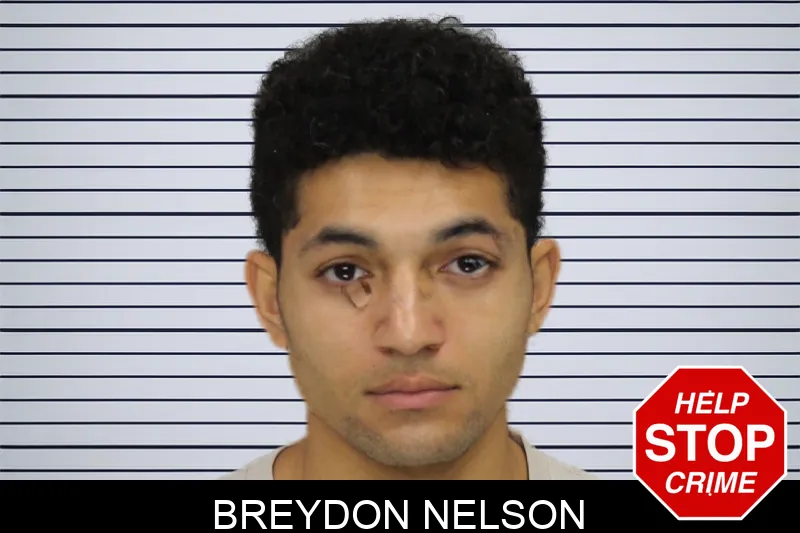 Breydon Nelson mugshot